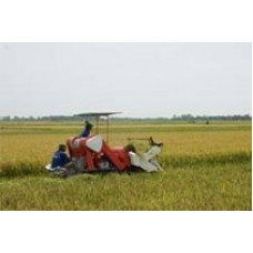 Máy gặt lúa liên hợp VNAGR-GDLH1300